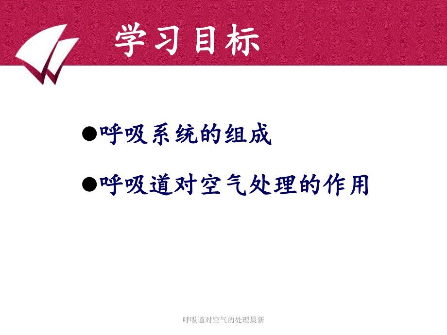 呼吸道对空气的处理最新课件_第4页