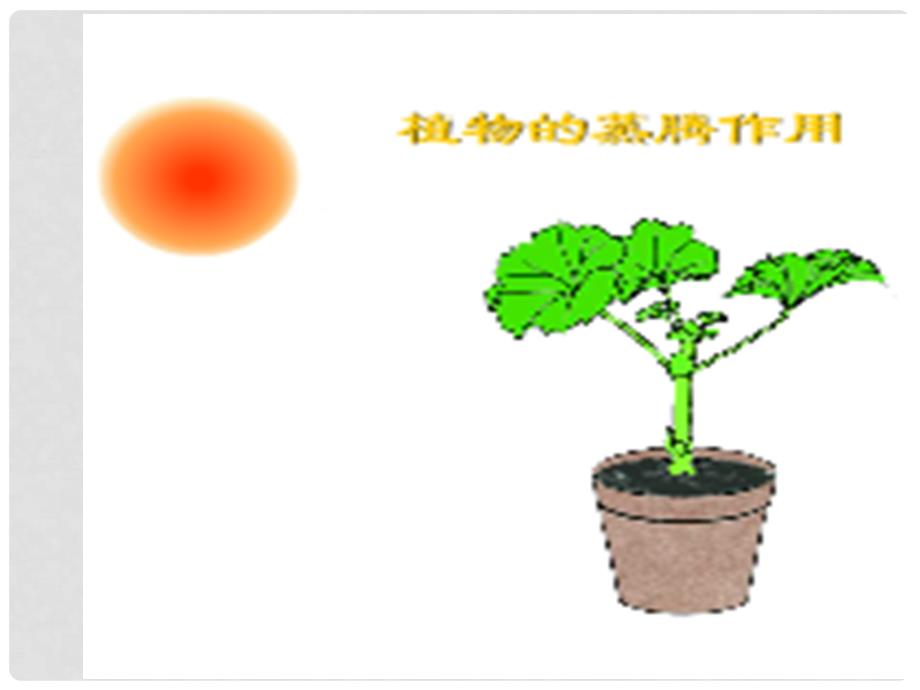 七年级生物上册 3.3 绿色植物参与生物圈的水循环课件 （新版）新人教版_第2页