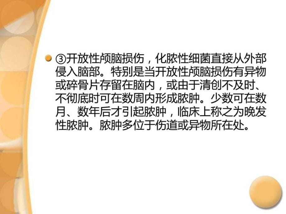 脑脓肿的诊断与治疗.ppt_第5页