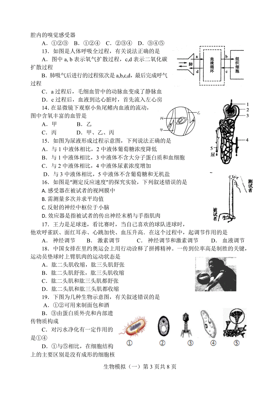 八年级生物会考模拟试题一_第3页