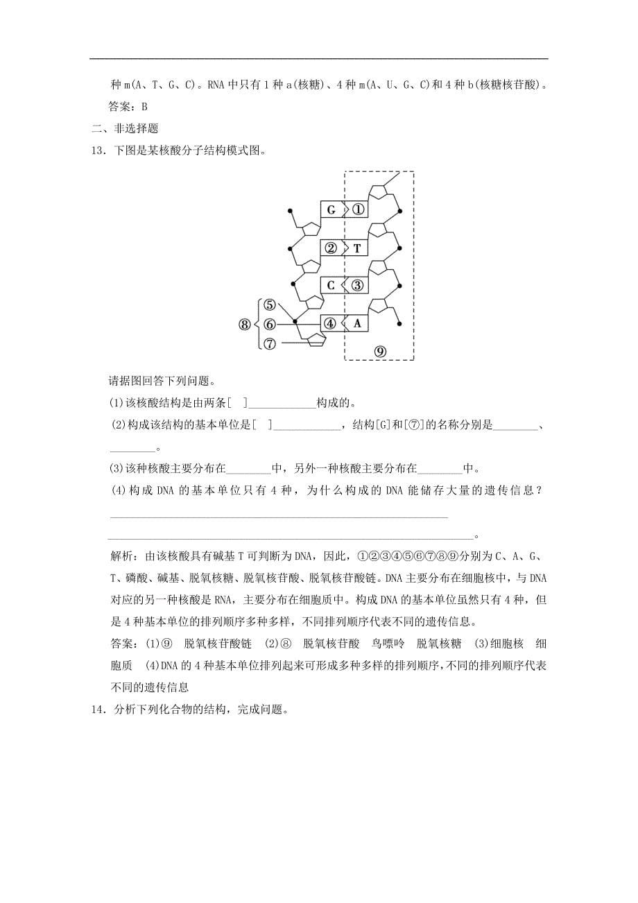 高中生物第二章细胞的化学组成第二节第2课时蛋白质核酸的结构和功能练习含解析苏教版必修1_第5页