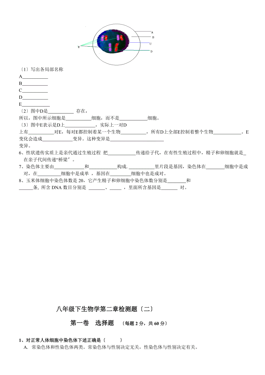 人教版八年级下册生物学第二章复习试题和答案_第3页