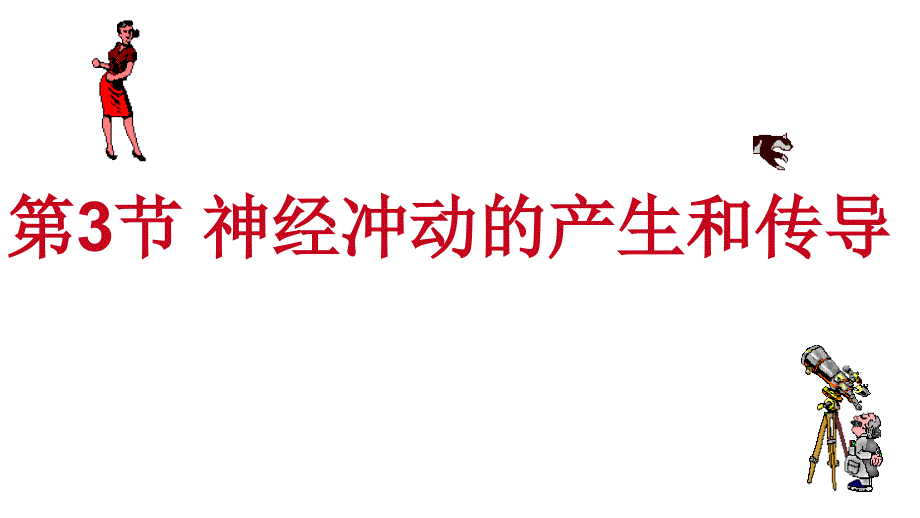 神经冲动的产生和传导【新】新人教版高中生物选择性必修一课件_第2页