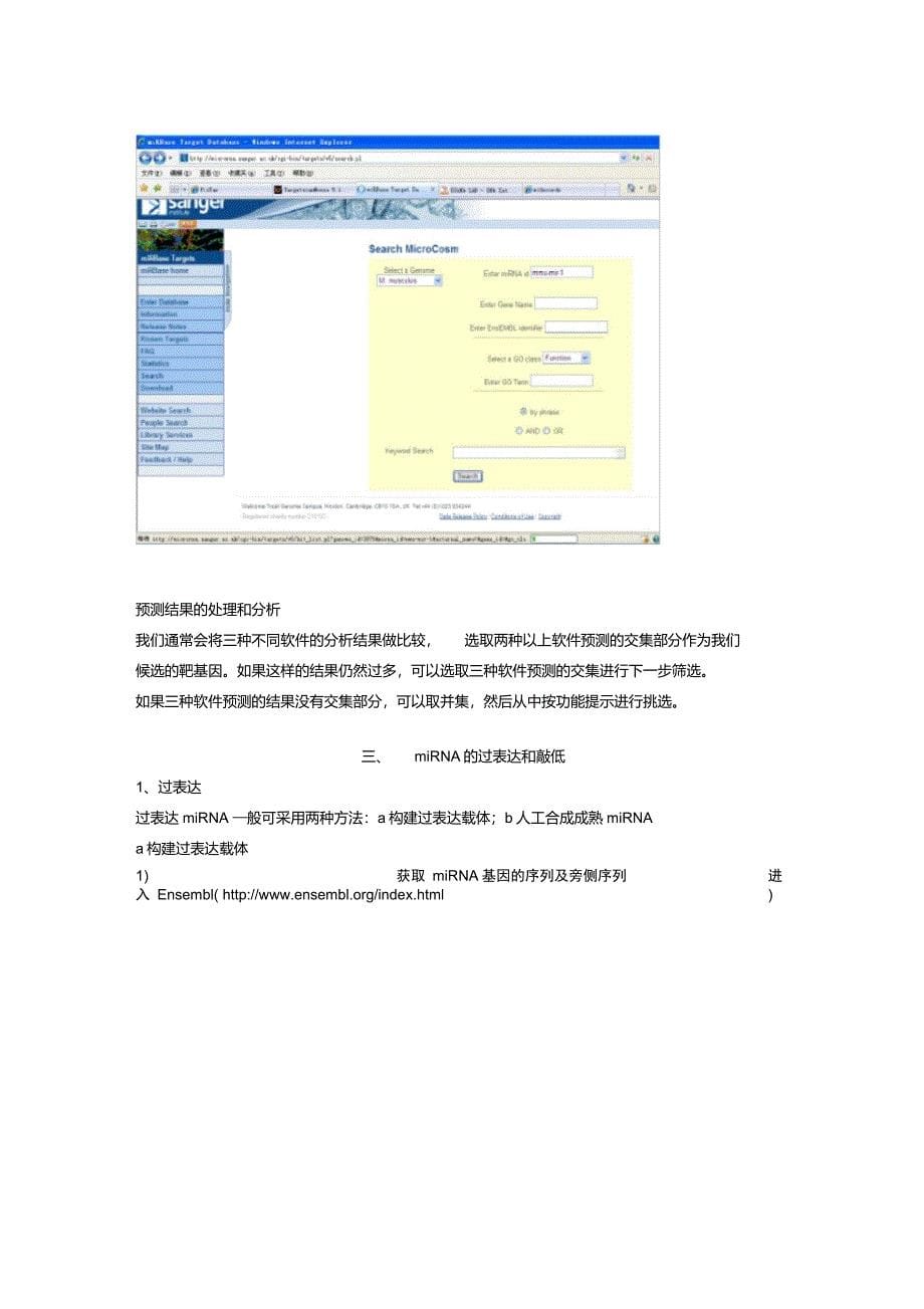 miRNA常用实验方法_第5页