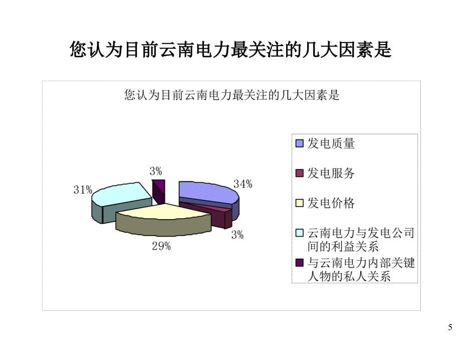 某著名咨询公司云南大朝山水电战略问卷_第5页