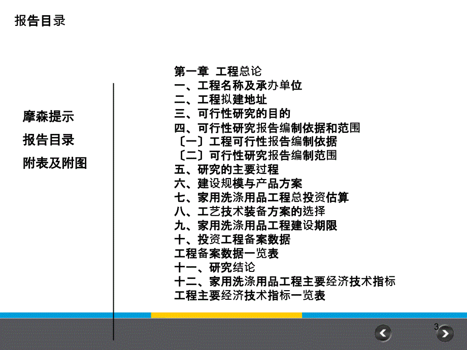 家用洗涤用品项目可行性研究报告_第3页