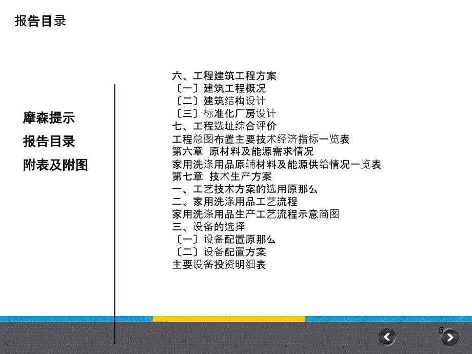 家用洗涤用品项目可行性研究报告_第5页