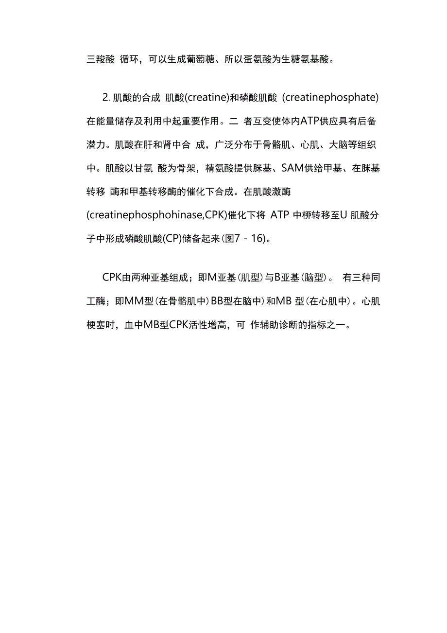 含硫氨基酸包括哪些_第4页