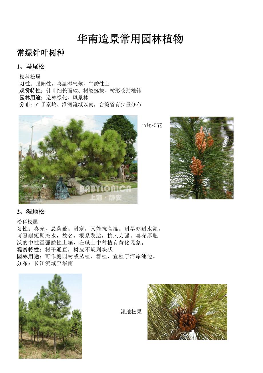 常绿针叶、阔叶和宿根植物_第1页