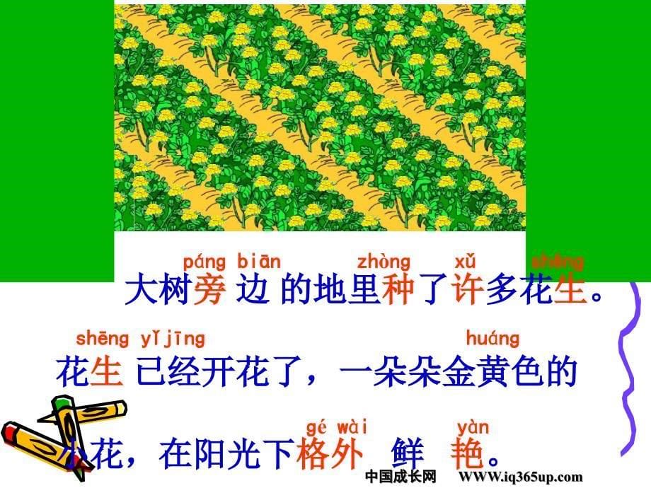 新版一年级下册小松鼠找花生课件_第5页