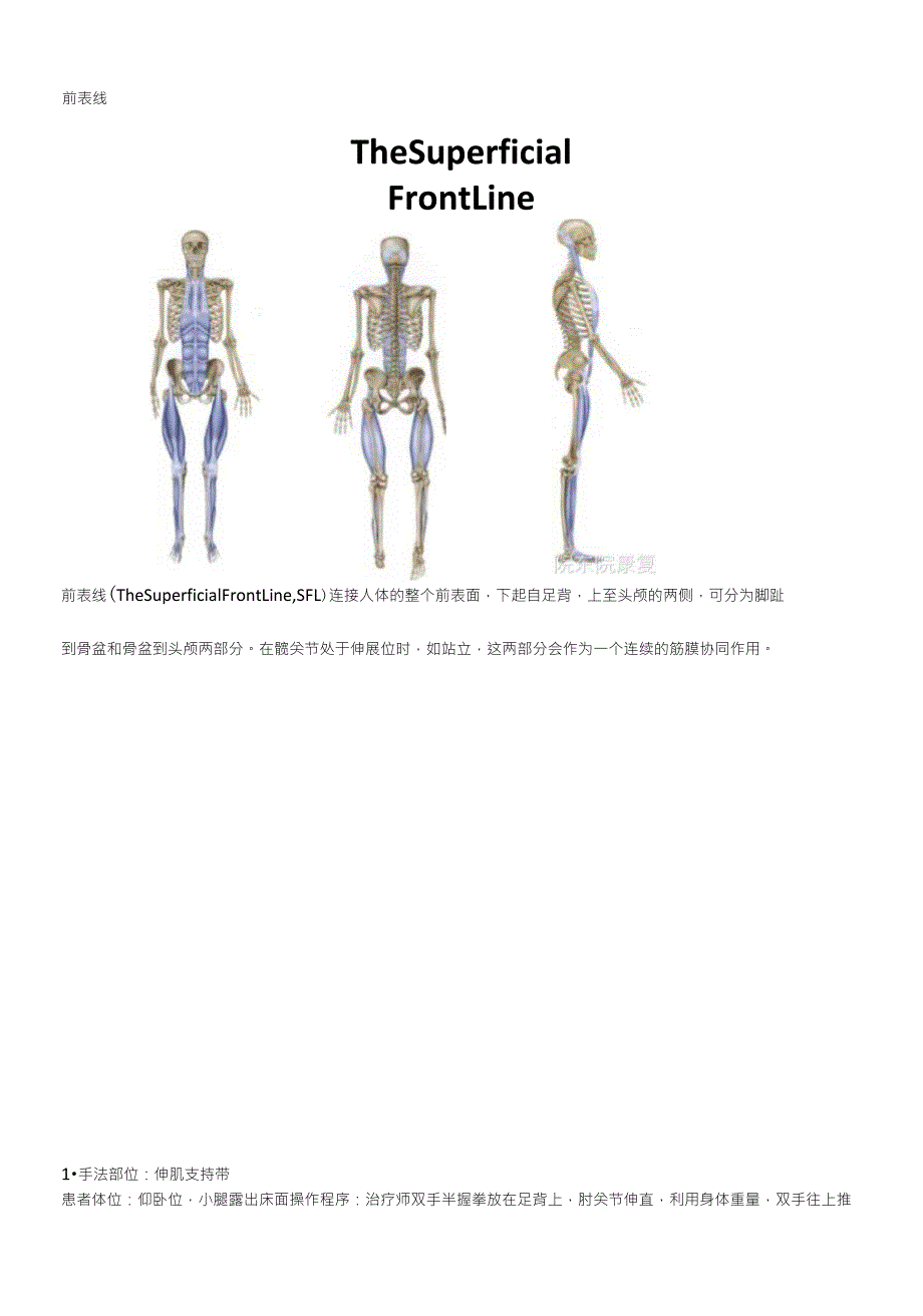 12条肌膜链及松解手法_第1页