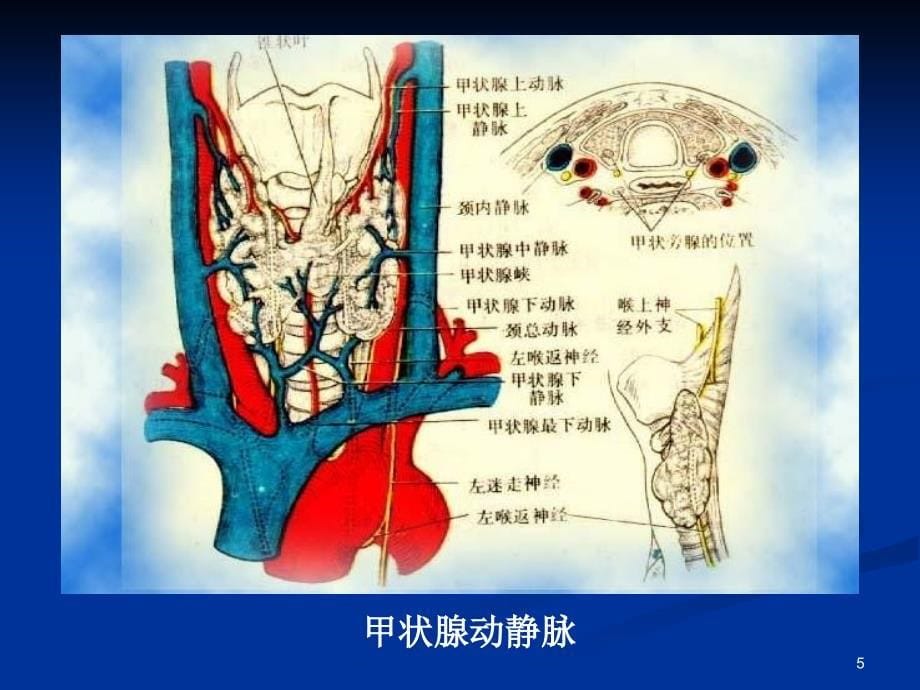 颈部疾病中西医_第5页