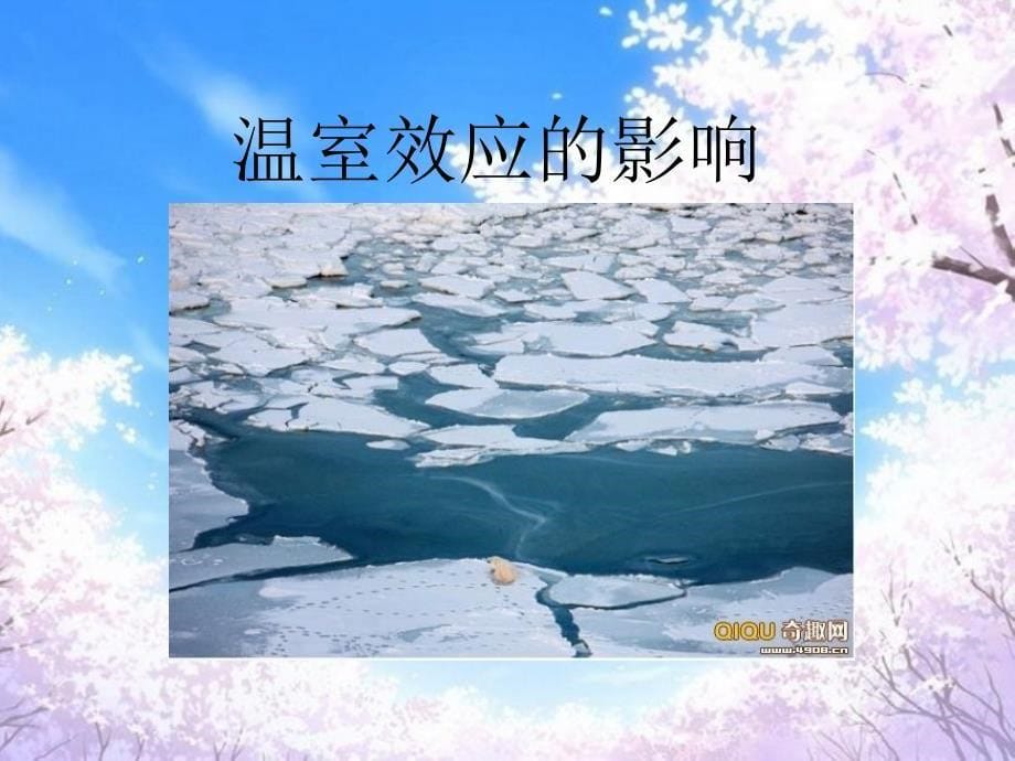 湖北省随州市随县吴山中心学校七年级生物下学期温室效应ppt共15张PPT_第5页