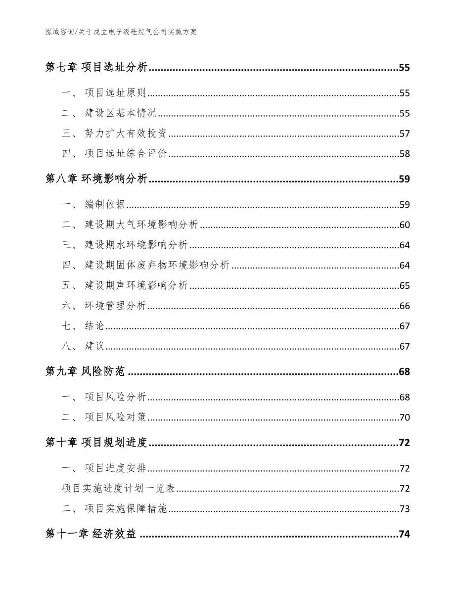 关于成立电子级硅烷气公司实施方案（模板）_第5页