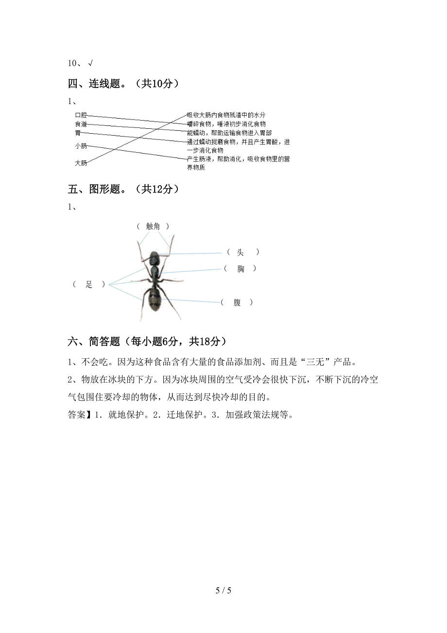 教科版四年级科学上册期中考试【带答案】.doc_第5页