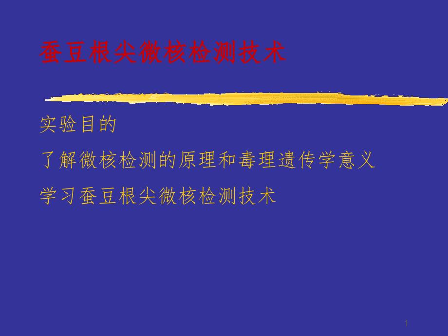 7,8,9综合实验蚕豆根尖微核检测技术.ppt_第1页