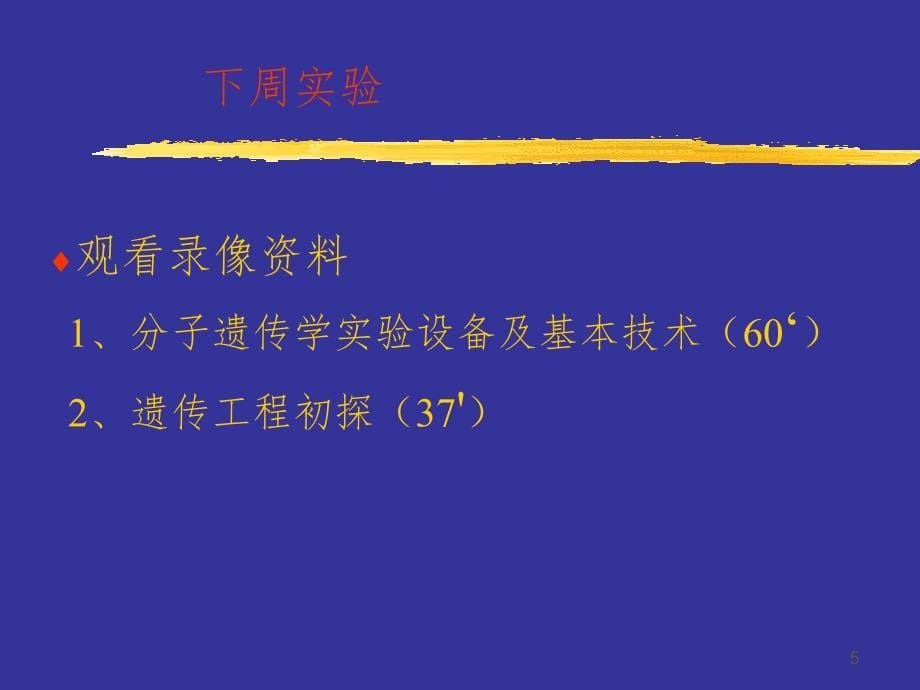 7,8,9综合实验蚕豆根尖微核检测技术.ppt_第5页