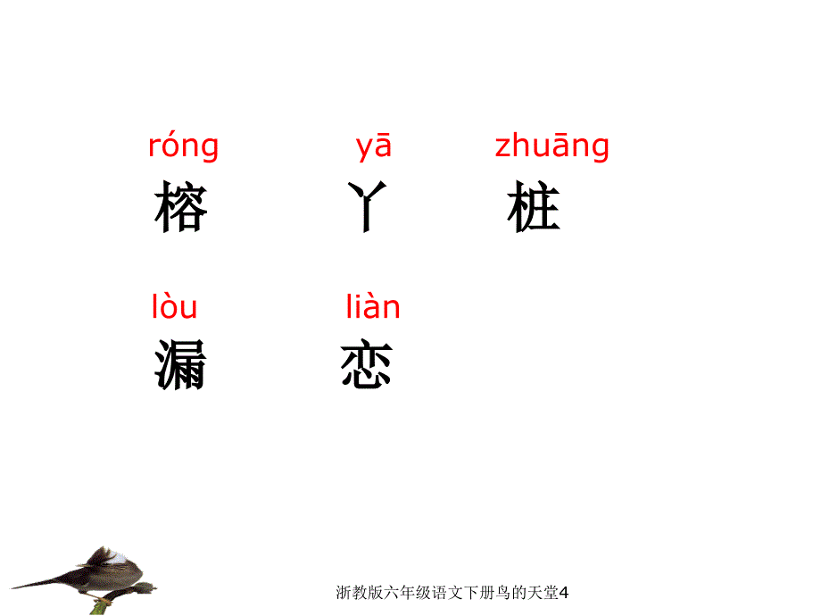 浙教版六年级语文下册鸟的天堂4课件_第4页