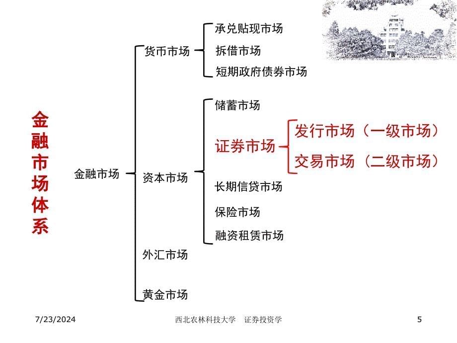 第三证券市场杨虎锋_第5页