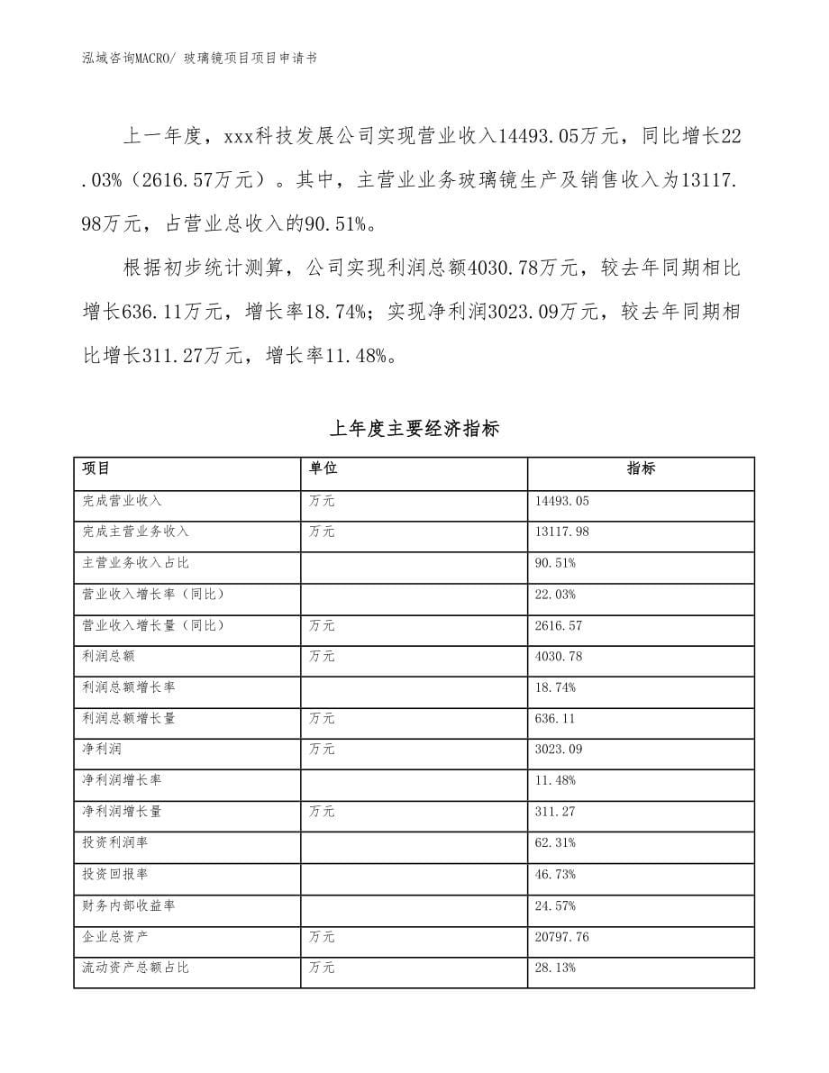 玻璃镜项目项目申请书_第5页