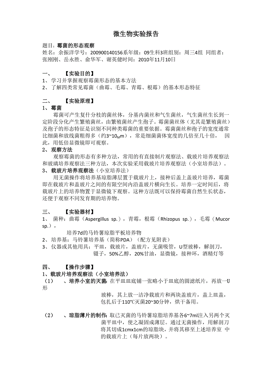 霉菌观察实验报告_第1页