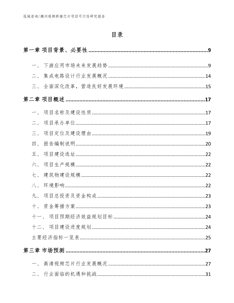 潮州视频桥接芯片项目可行性研究报告_第2页