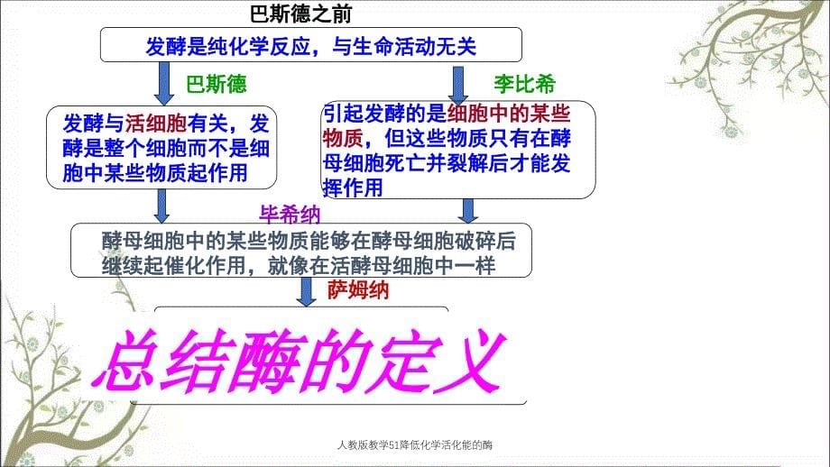 人教版教学51降低化学活化能的酶_第5页