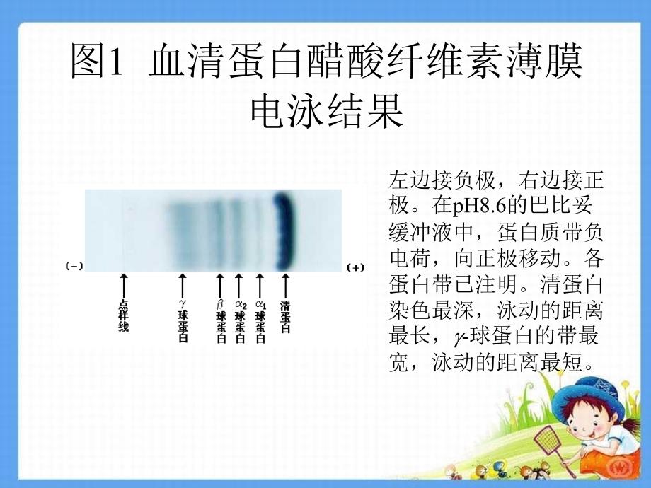 血液生物化学课件2_第2页