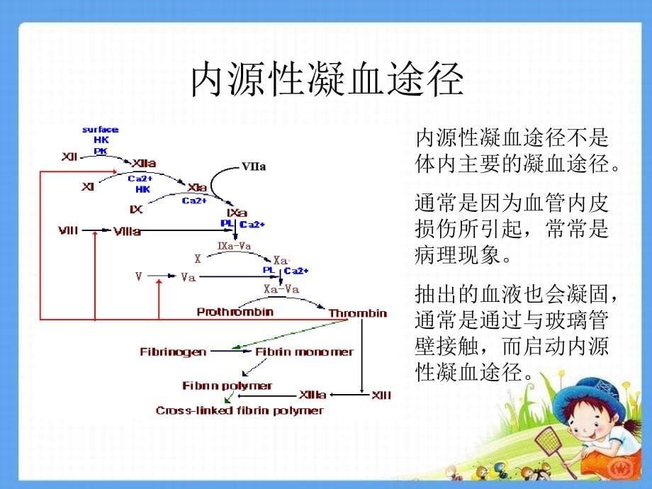 血液生物化学课件2_第5页