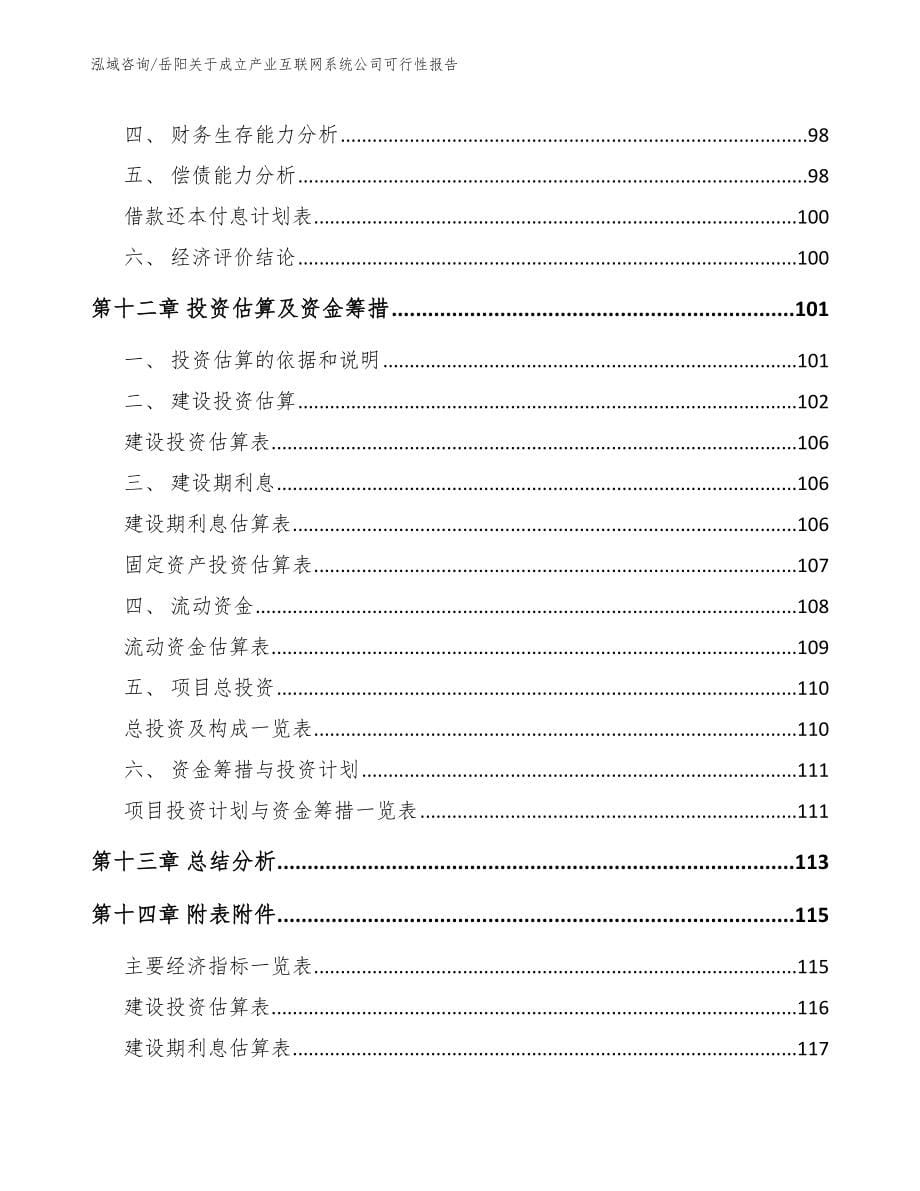 岳阳关于成立产业互联网系统公司可行性报告【参考范文】_第5页