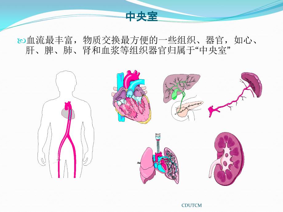 药物动力学双室模型PPT课件02_第4页