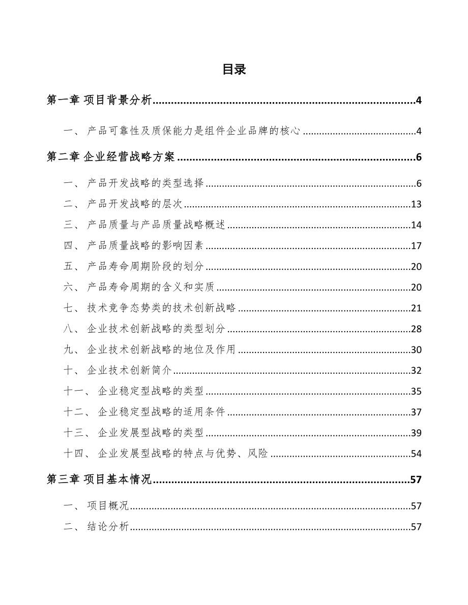 光伏组件公司企业经营战略方案_第2页