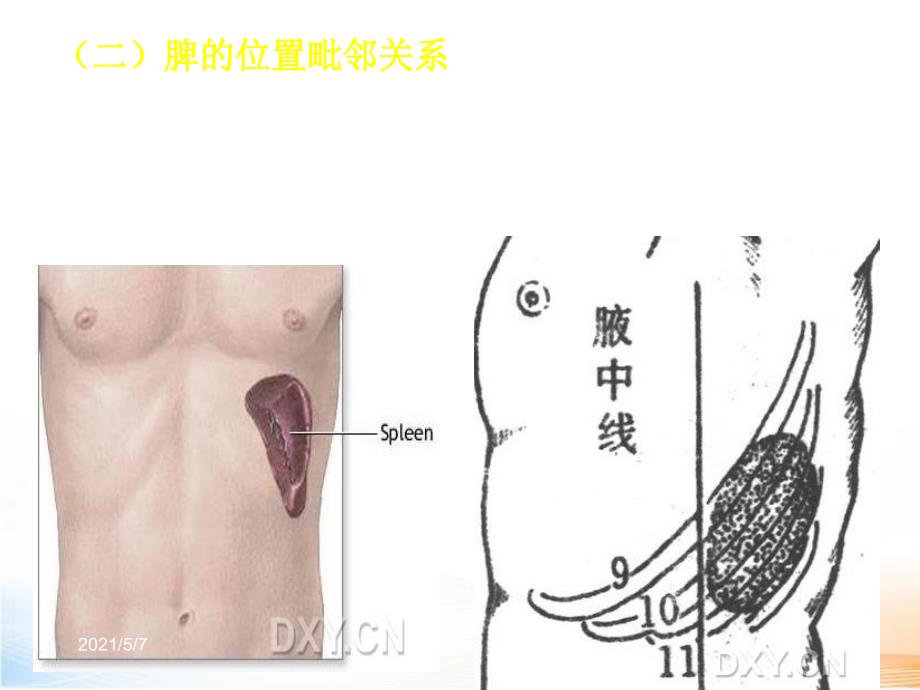 脾脏超声诊断_第4页