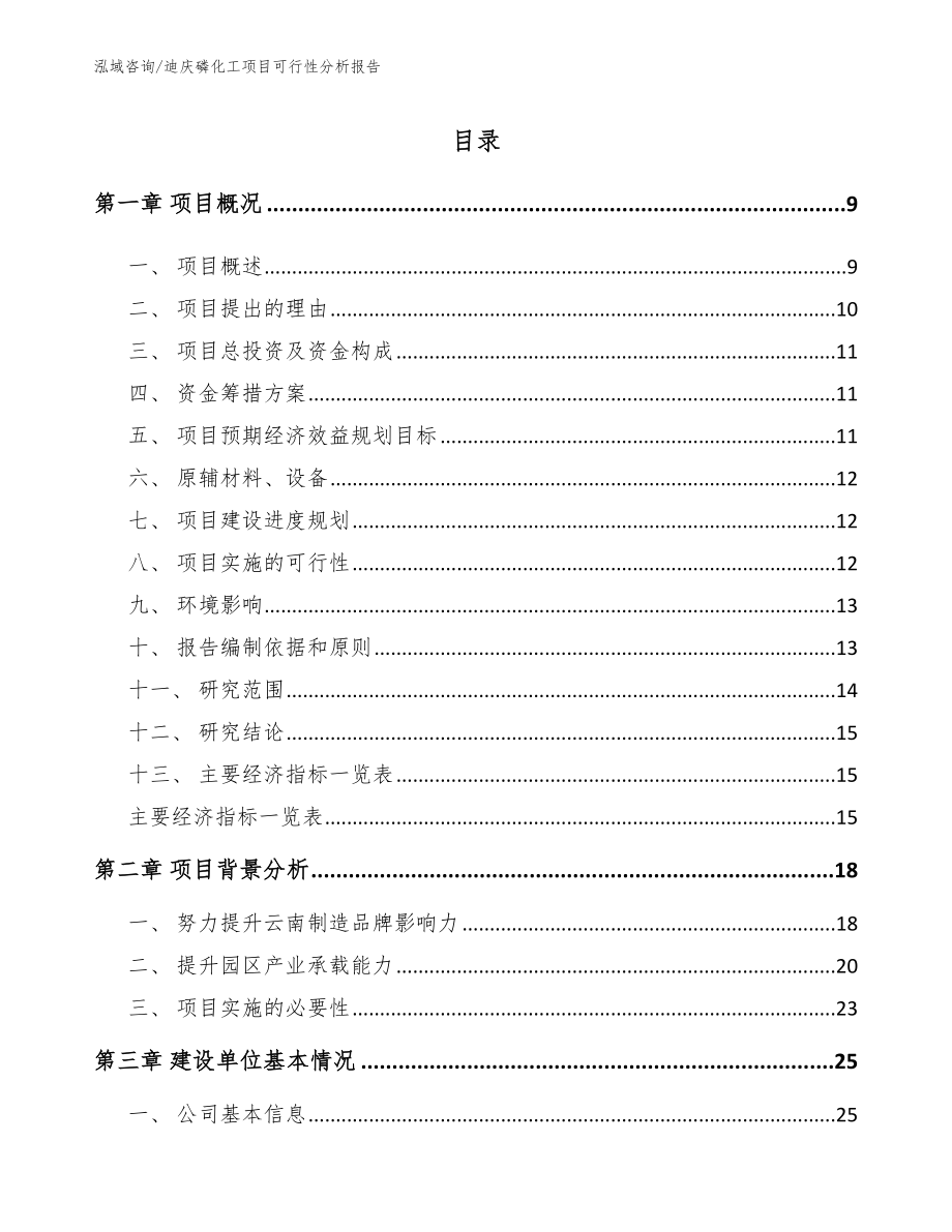 迪庆磷化工项目可行性分析报告_第2页