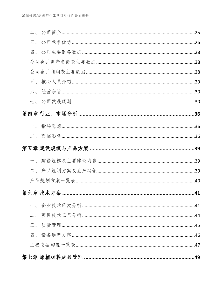 迪庆磷化工项目可行性分析报告_第3页