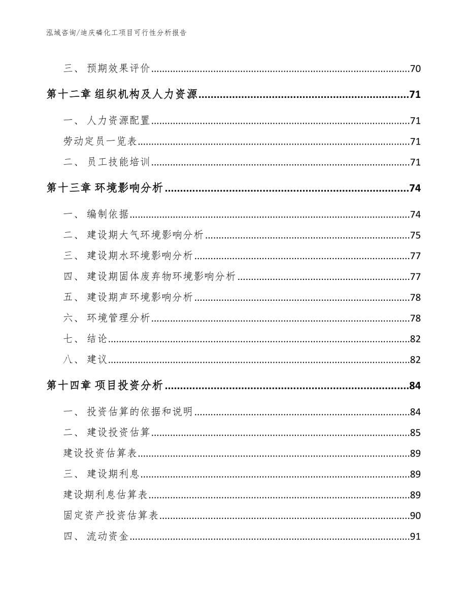 迪庆磷化工项目可行性分析报告_第5页