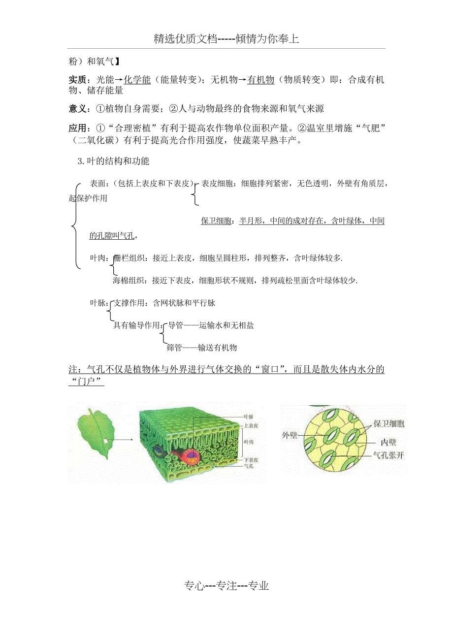 苏科版七年级上册生物知识点_第5页