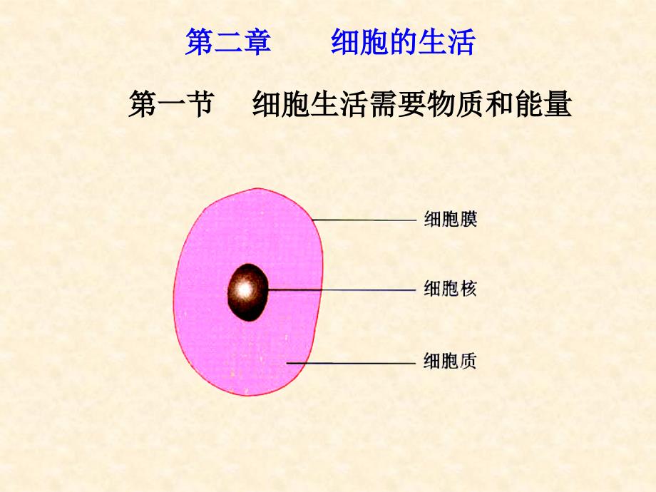 人教版七年级初一上册生物细胞生活需要物质和能量PPT课件_第1页