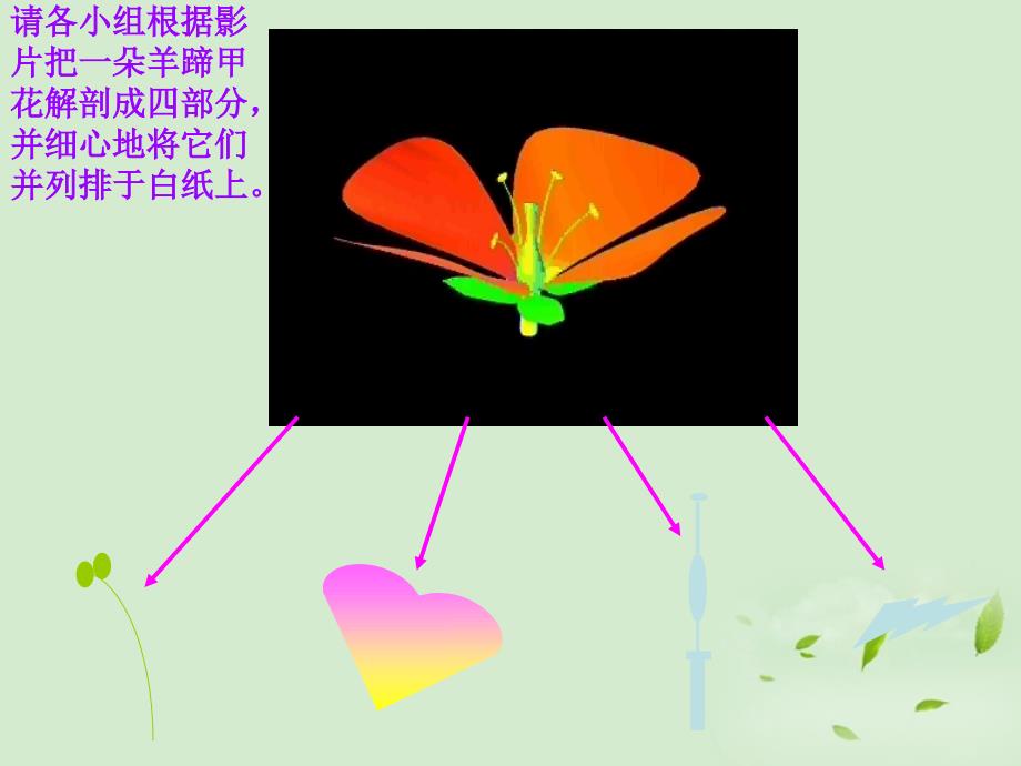 七年级生物-开花和结果1课件-人教新课标版_第2页