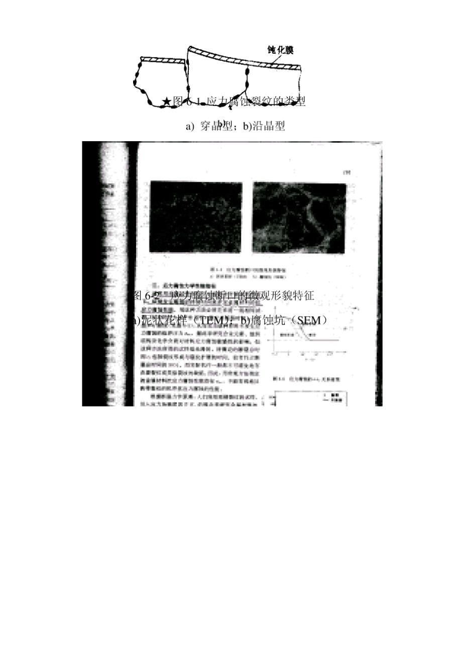 第六章 金属的应力腐蚀与氢脆断裂_第5页