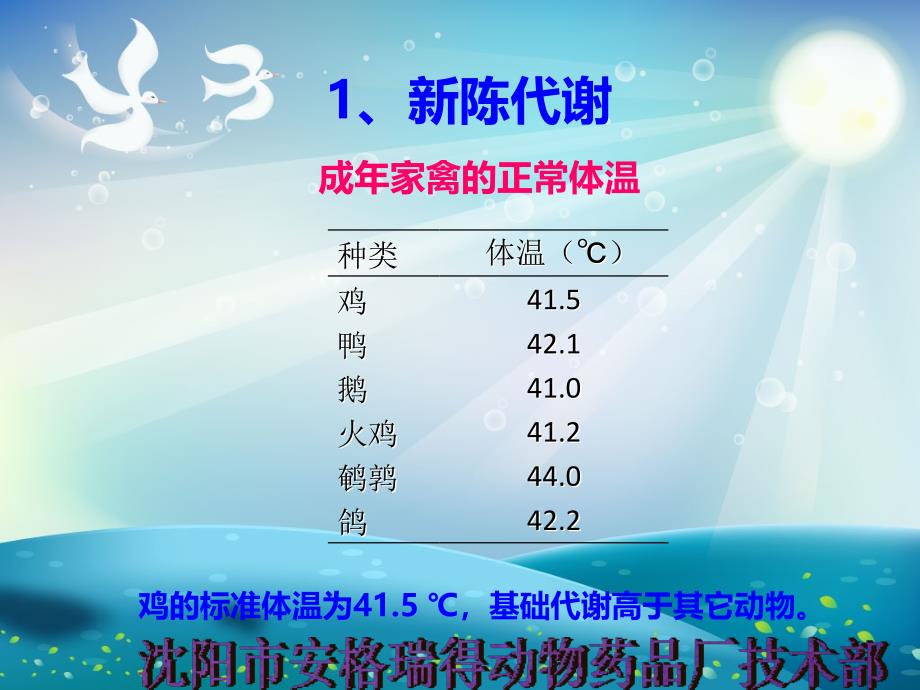 鸡的生理和解剖ppt课件_第2页