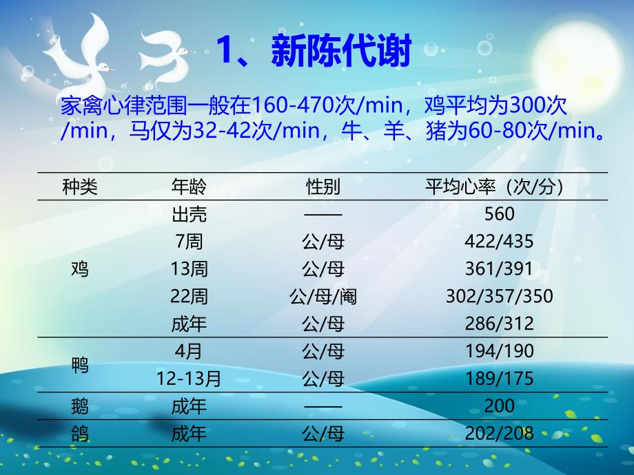 鸡的生理和解剖ppt课件_第3页