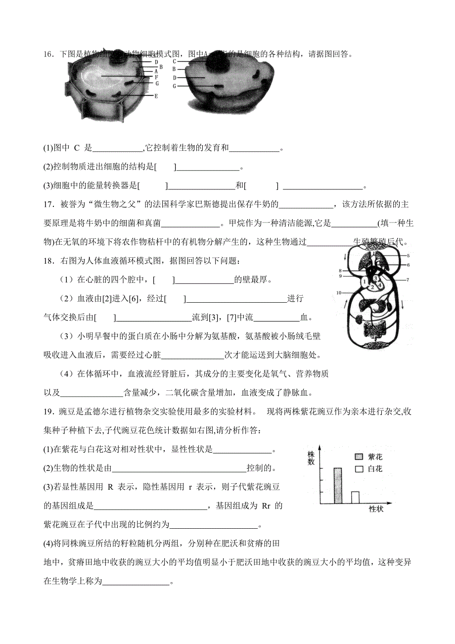 八年级生物结业考试试题及答案_第4页