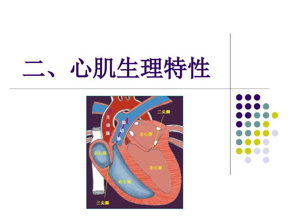 4.2血液循环作用_第1页