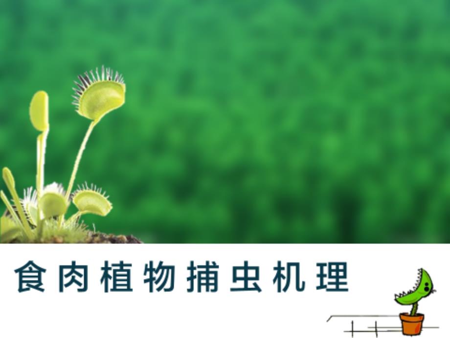 食肉植物名师制作优质教学资料_第1页