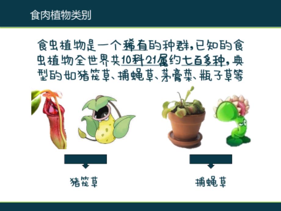 食肉植物名师制作优质教学资料_第3页