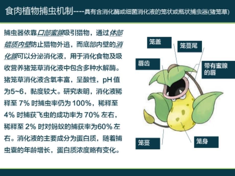 食肉植物名师制作优质教学资料_第5页