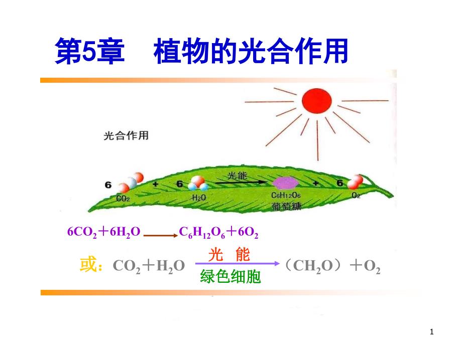 植物的光合作用作用进展叶绿体色素1_第1页