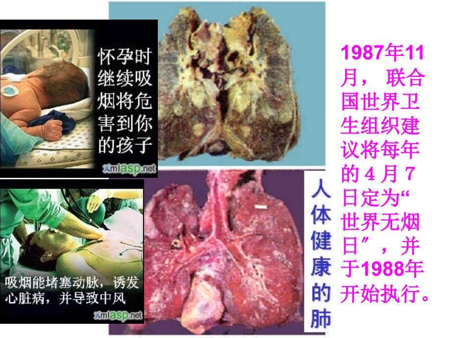 yong1031细胞的癌变_第2页