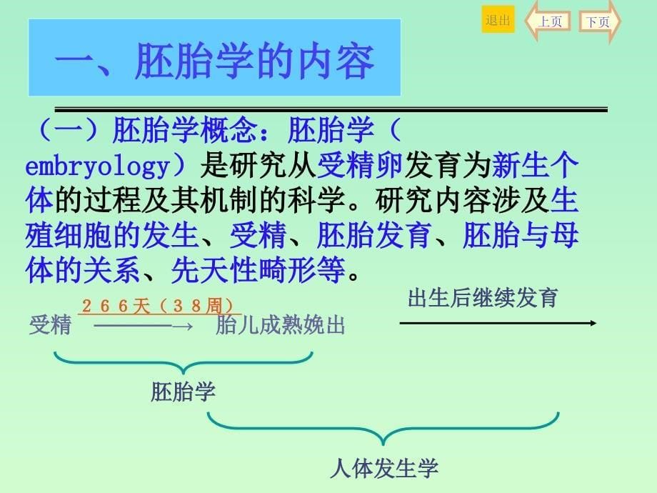 胚胎学绪论和人胚早期发生1邹仲之_第5页